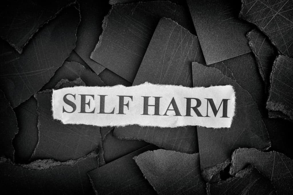 Self Harm. Torn pieces of black paper and words Self Harm. Concept Image. Black and White. Closeup.